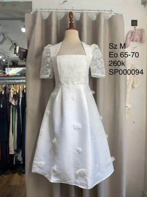 Váy xòe phối ren / Lace Embellished Dresses